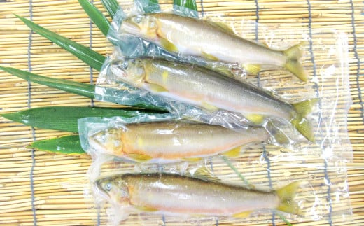 一級河川・江の川の恵み】島根県産 天然冷凍鮎 約800g【魚介類 魚 川魚 あゆ アユ 天然 冷凍あゆ 高鮮度 冷凍 小分け 便利 期間限定 季節限定  数量限定 夏季限定】 - 島根県美郷町｜ふるさとチョイス - ふるさと納税サイト