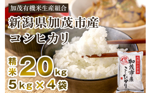 令和5年産新米】新潟県加茂市産コシヒカリ 精米20kg（5kg×4）白米 加茂