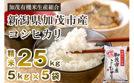 【令和5年産新米】新潟県加茂市産コシヒカリ 精米25kg（5kg×5）白米 加茂有機米生産組合