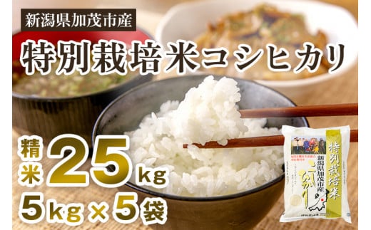 令和5年産新米】新潟県加茂市産 特別栽培米コシヒカリ 精米25kg（5kg×5