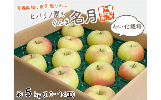 青森産ワリンゴ沙果 売れ筋 5kg