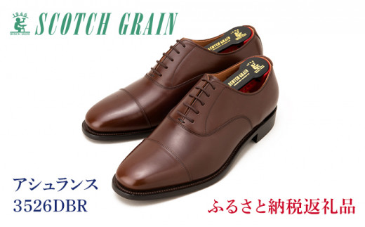 サンプル写真