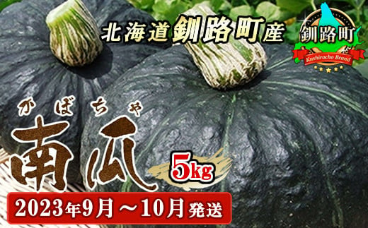 野菜王国 釧路町産 【かぼちゃ】5kg＜出荷時期：2023年9月1日～10月31