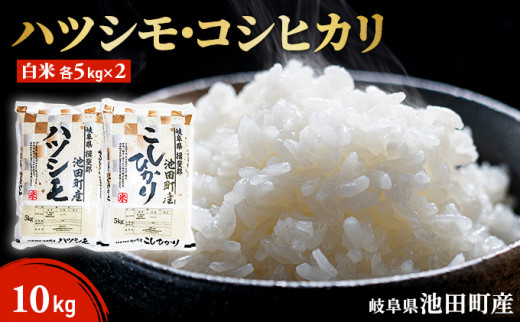 サンプル写真