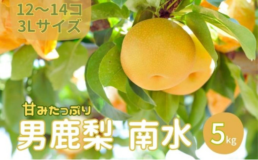 サンプル写真