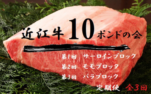 【近江牛 定期便【近江牛10ポンドの会】全3回】肉 牛肉 ブランド牛 三大和牛 和牛 黒毛和牛 贈り物 ギフト プレゼント 冷凍 滋賀県 竜王