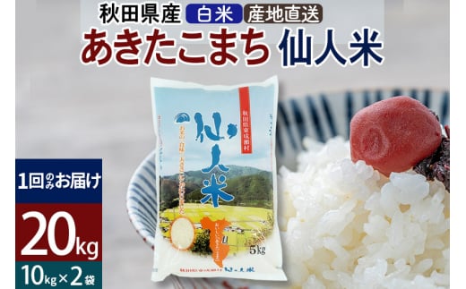 あきたこまち 秋田県産 仙人米（白米） 20kg（10kg×2袋）令和4年産