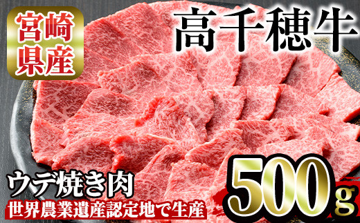 高千穂牛 ウデ焼き肉(500g)【MT001】【JA高千穂地区ミートセンター