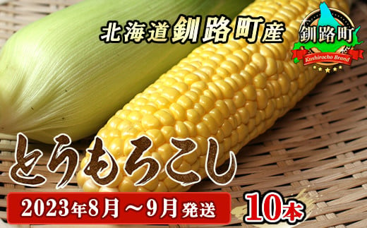 野菜王国 釧路町産 【とうもろこし】10本＜出荷時期：2023年8月1日