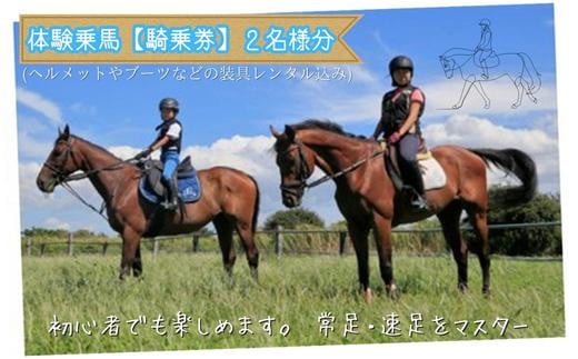 体験乗馬 騎乗券B（2名様分） - 茨城県利根町｜ふるさとチョイス - ふるさと納税サイト