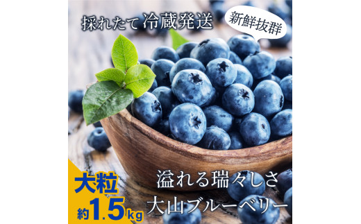 MS-34 新鮮生ブルーベリー1.5kg（6月採れ） - 鳥取県大山町｜ふるさとチョイス - ふるさと納税サイト