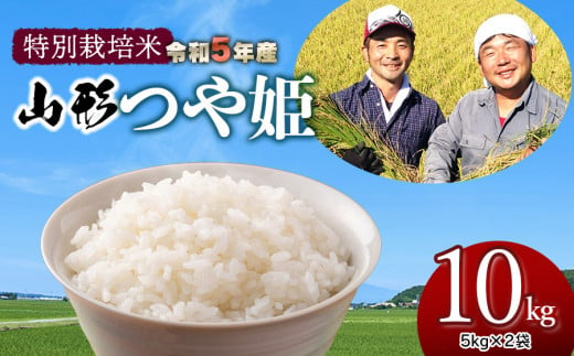 令和5年産 新米 特別栽培米 山形つや姫 定期便 精米10kg(5kg×2袋)×6