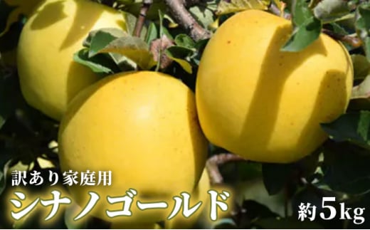 2024年/令和6年度発送分！先行予約】パリッとした食感のシナノゴールド