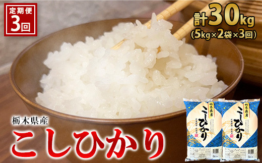 3ヶ月定期便】【令和5年産】栃木県産こしひかり（精米・5kg×2袋） ※着