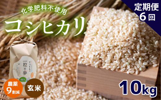 Amazon.co.jp: パールライス 新潟県産 玄米 コシヒカリ 2kg 令和