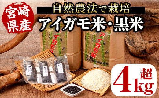 令和5年産＞アイガモ米(2kg×2個)と黒米(42g)【MU015】【日之影町村