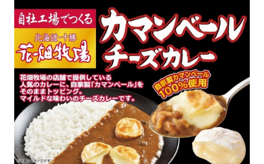 花畑牧場 カマンベールチーズカレー150g×5袋（5人前）[P1-45B]