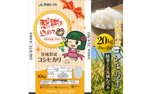 新米】【令和6年産】茨城県産コシヒカリ20kg（10kg×2袋）精米JA茨城  