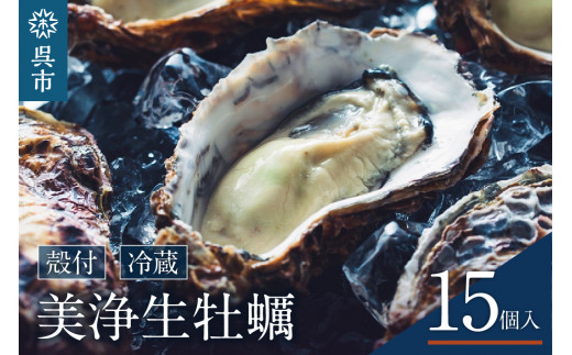 中野水産 美浄生牡蠣（殻付）15個 牡蠣ナイフ付 - 広島県呉市