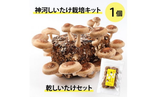 yɌ_͒z_͔͂|Lbg(ۏ)1ƊZbg@10`4y1355227z