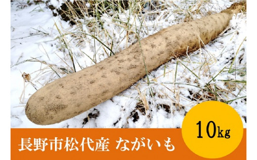 J0963 長野市ながいも 5kg (2023年11月下旬頃出荷分）高野農園 - 長野