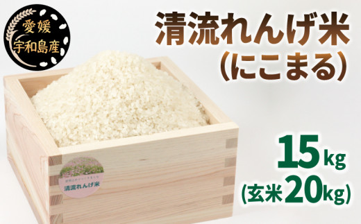 新米 清流 れんげ米 にこまる 15kg かわたのお米屋さん 新米 米 精米