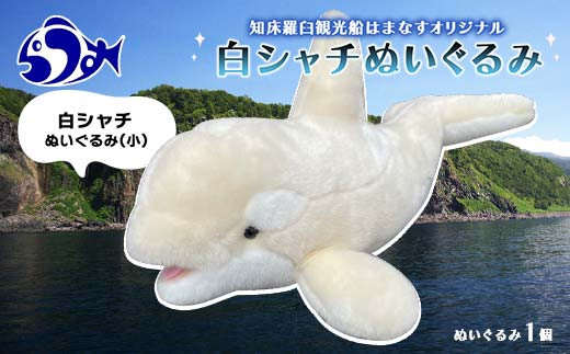 ふるさと納税 観光船はまなす乗船券・白シャチぬいぐるみ（小