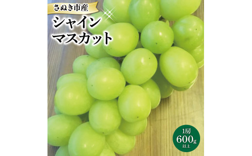 さぬき市産 シャインマスカット 1房600g以上 【シャインマスカット