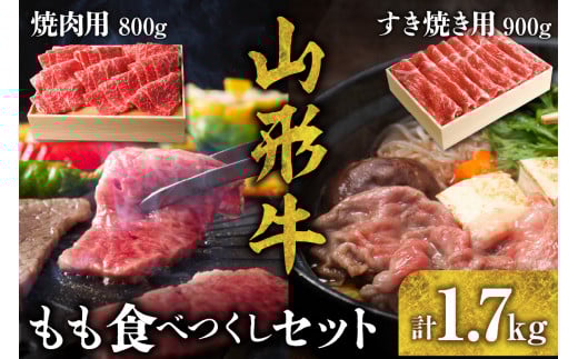 sd1_9500bccb1f4dd17ddd809b9172