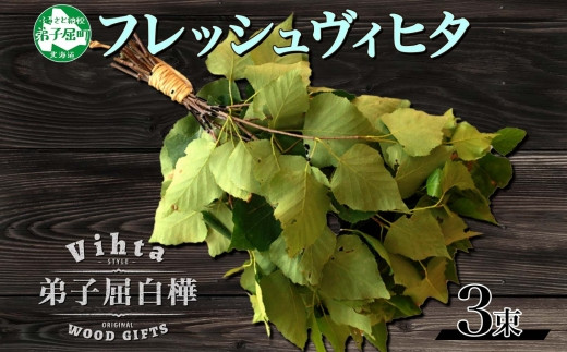 1511. フレッシュ 白樺 ヴィヒタ 3束 北海道 白樺 ヴィヒタ アロマ