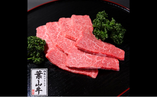 牛肉 冨士屋牛肉店がお届けする 葉山牛 焼肉 ロース 500g 赤身 霜降り