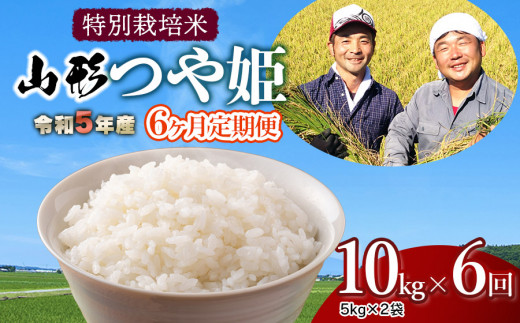 令和5年産 新米 特別栽培米 山形つや姫 定期便 精米10kg(5kg×2袋)×6ヶ月 鶴岡ファーマーズ