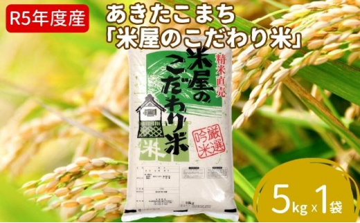 サンプル写真