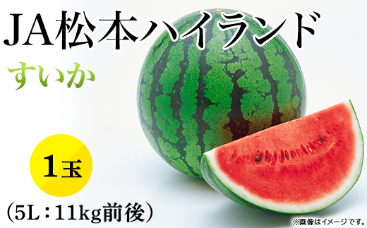 スイカ　5L  約12キロ　正規品　松本ハイランド mh_sui_5lr.jpg