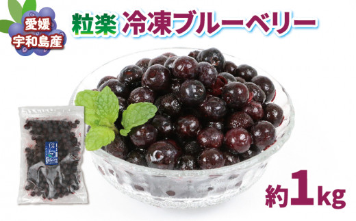 冷凍 ブルーベリー 袋 計 粒楽 南四国ファーム 冷凍果実