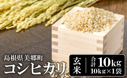 新米 令和5年産 石見地方 邑智郡産 コシヒカリ 玄米 10kg【令和5年度産