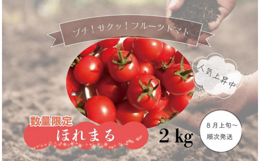 ミニトマト　10kg キャロル10 【糖度9～10以上】北海道産　農家直送