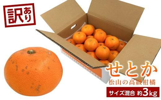 2月中旬から発送】 ＜訳あり＞ せとか 約3kg 愛媛産 愛媛県産せとか