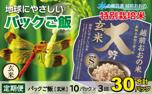 3ヶ月定期便】地球にやさしいパックご飯 10食入り【玄米】× 3回 計30食