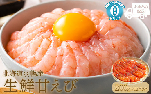 サンプル写真