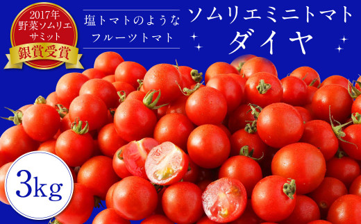 【極み】塩トマトのようなフルーツトマト　ソムリエミニトマト　ダイヤ３kg（１２０玉～２００玉）