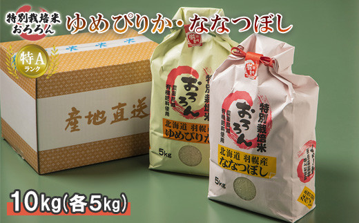サンプル写真