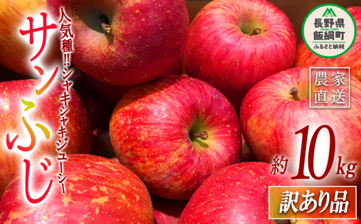 りんご サンふじ 訳あり 10kg 大垣農園 沖縄県への配送不可 2023年11月 