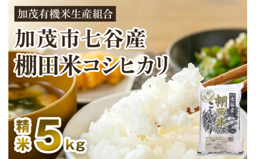 令和5年産新米】新潟県加茂市 七谷産 棚田米コシヒカリ 精米5kg 白米