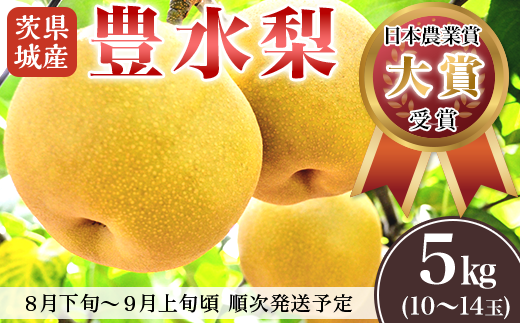 茨城県産「豊水梨」5kg【2023年8月下旬～9月上旬にかけて発送