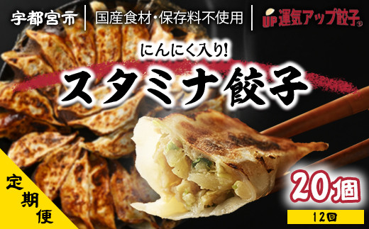 定期便』宇都宮餃子 スタミナ餃子 保存料不使用 全12回【配送不可地域：離島】 - 栃木県宇都宮市｜ふるさとチョイス - ふるさと納税サイト