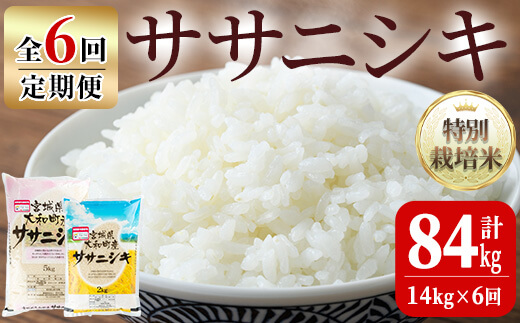 令和5年産】＜６か月定期便＞特別栽培米 ササニシキ 84kg ta089【若木