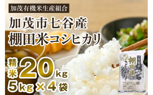 令和5年産新米】新潟県加茂市 七谷産 棚田米コシヒカリ 精米20kg（5kg