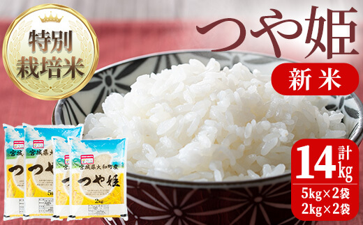 ハトさん専用】自然栽培「金のいぶき」玄米 20kg