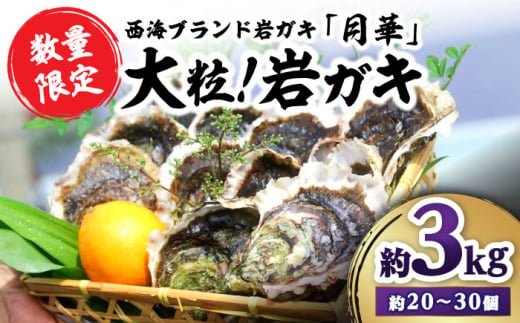 【数量限定】大粒！ 岩ガキ 約3kg（約20個～30個）＜ハマフジ水産＞ [CES009]